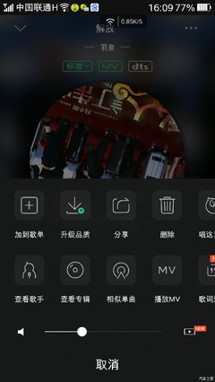 MP4音乐下载教程