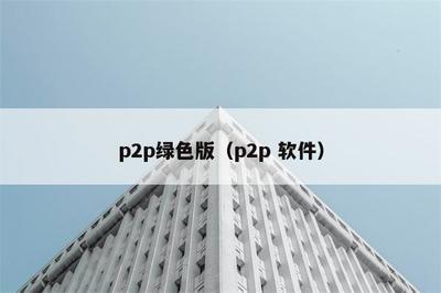 P2PSearcher最新官方版本（P2PSearcher 3.5）