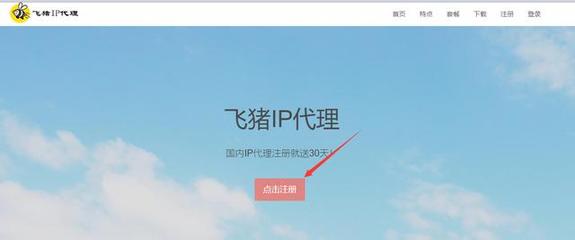 飞猪IP代理免费版，了解飞猪IP及其功能优势
