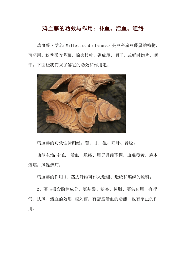 树的重要作用，生态环境的守护者与人类生活的伙伴