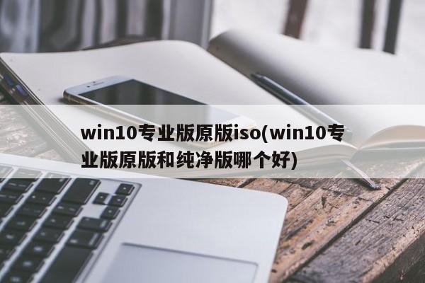 Win10专业版原版ISO，原版与纯净版的选择对比