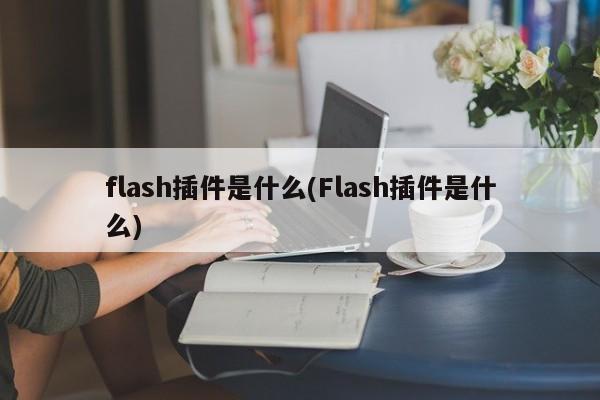 Flash插件，定义与作用