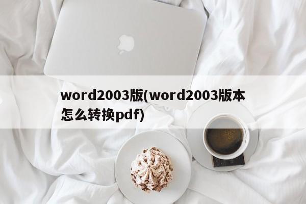 如何将Word 2003版文档转换为PDF格式