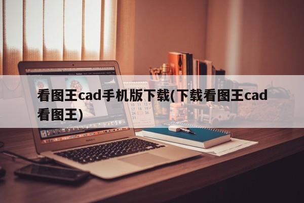 看图王CAD手机版下载教程