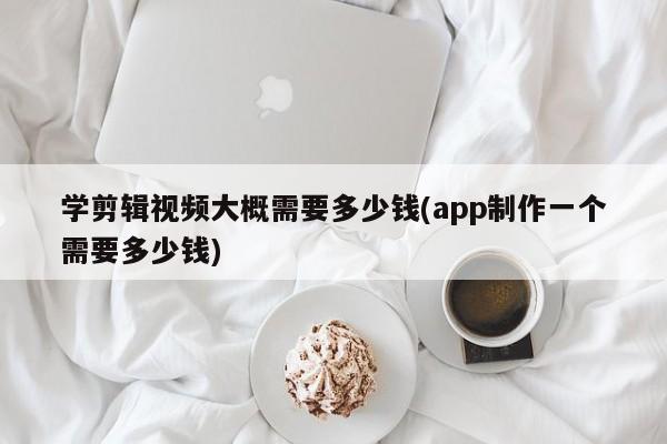 建议，学习剪辑视频的费用及制作一个App的成本。