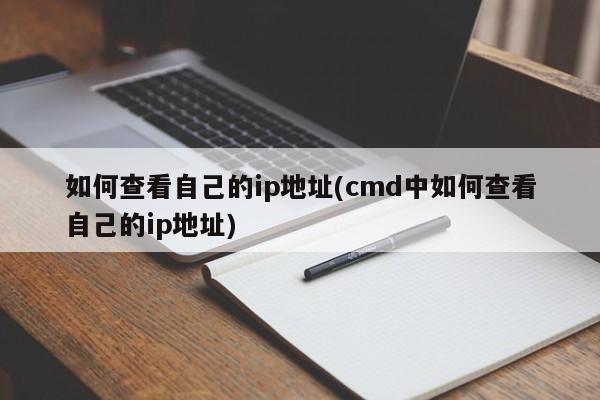 如何在CMD中查看自己的IP地址