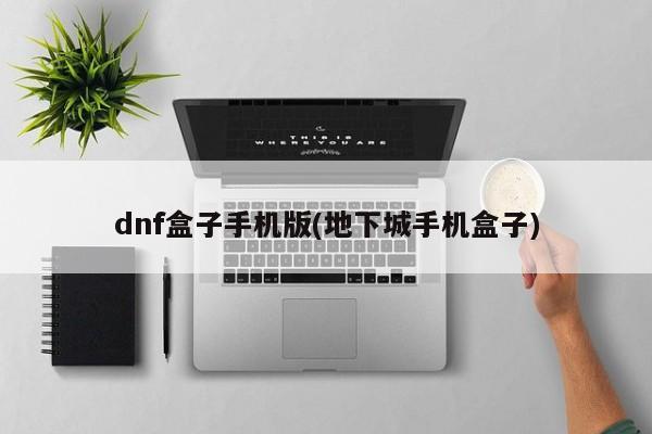 DNF盒子手机版，地下城手机助手