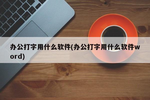 办公打字常用软件，Microsoft Word