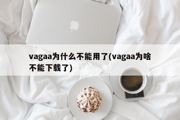 Vagaa为何无法使用或下载了？